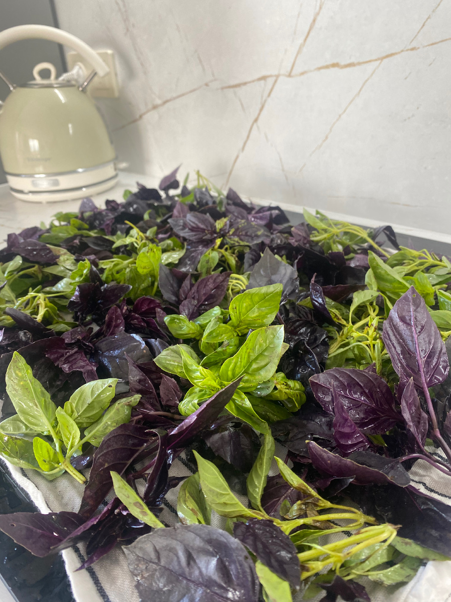 Можно класть немного с горкой, листья все равно сильно уменьшатся. Личный архив. 