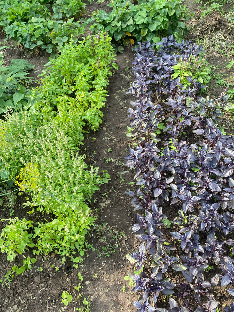 Личный архив 