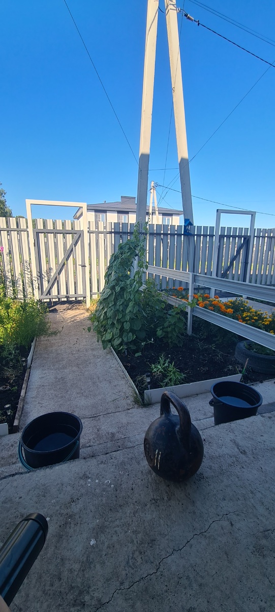 Так начинается моё утро