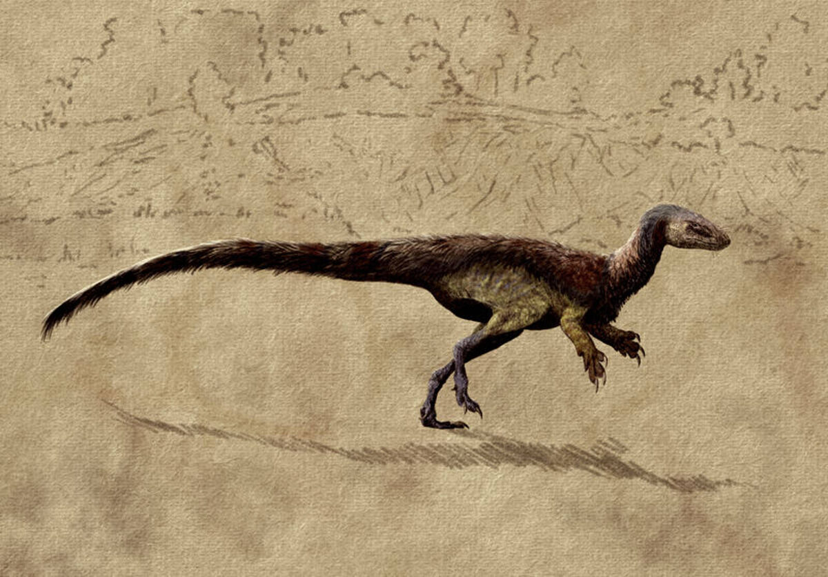 Нхандумирим. Арт.