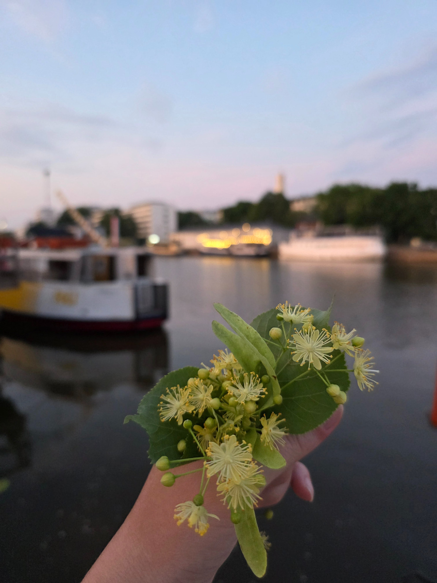 Автор фото я