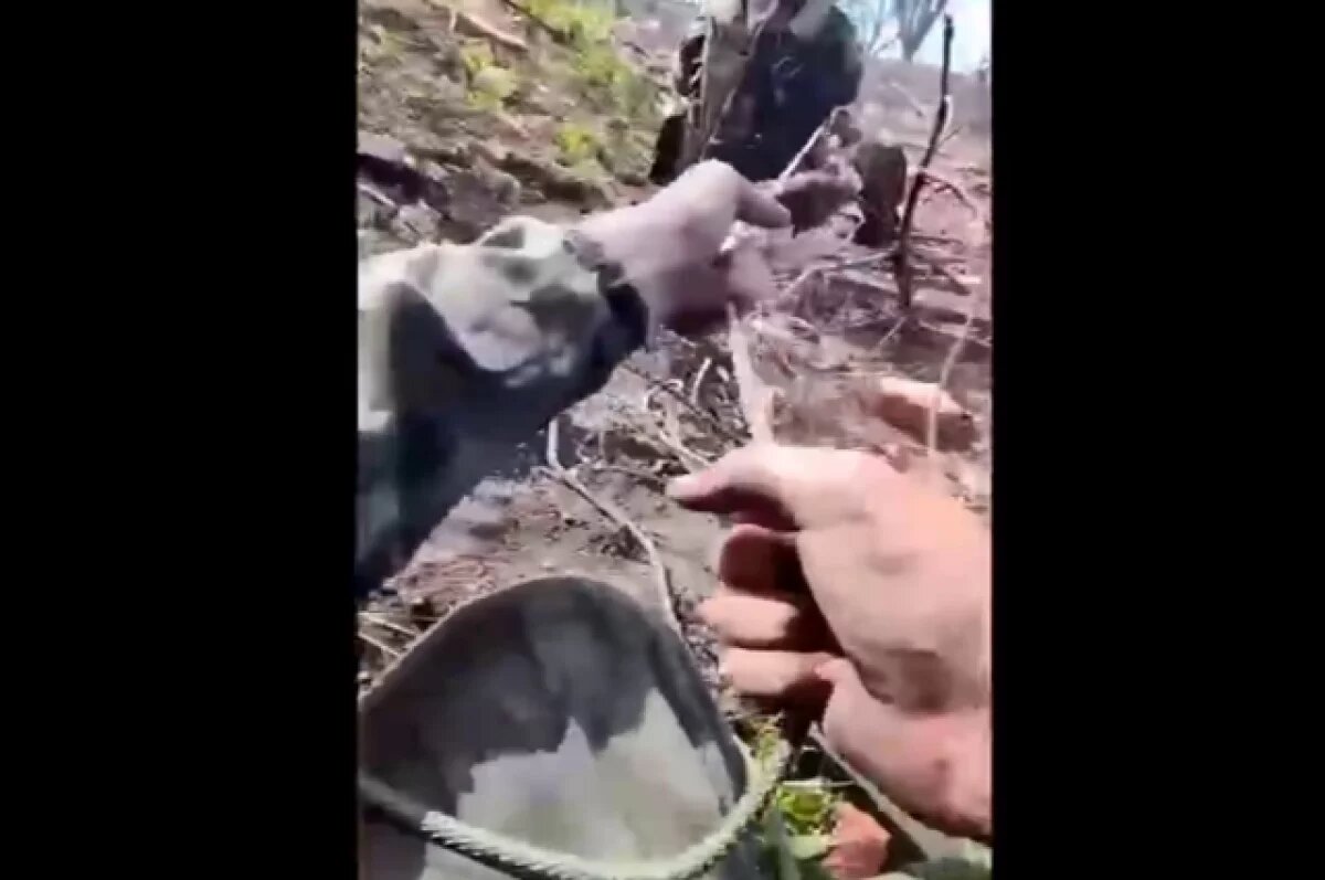    Бойцы ВС РФ вытащили на канате с поля боя раненого сослуживца