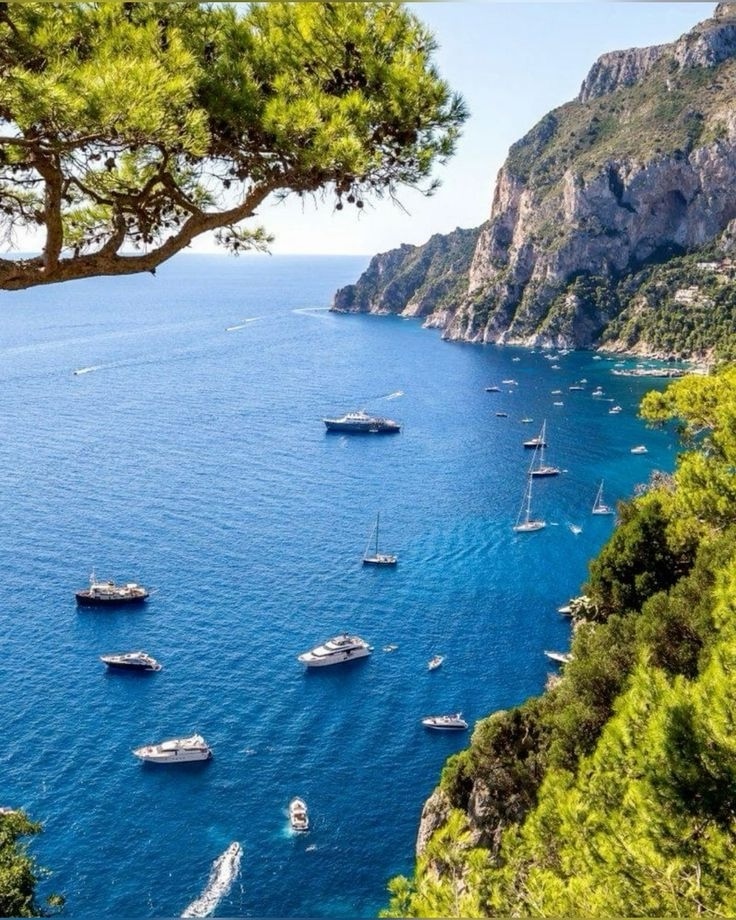 Не удивительно, что после наполеоновской оккупации остром присмотрели магнаты, мафиози и вожди большевиков, даже  удивительно, что именно в такой компании и последовательности, и очень хочется подробностей.