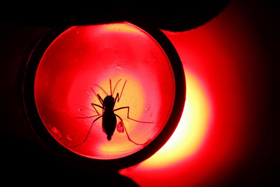    Cadu Rolim/Keystone Press Agency/Global Look Press