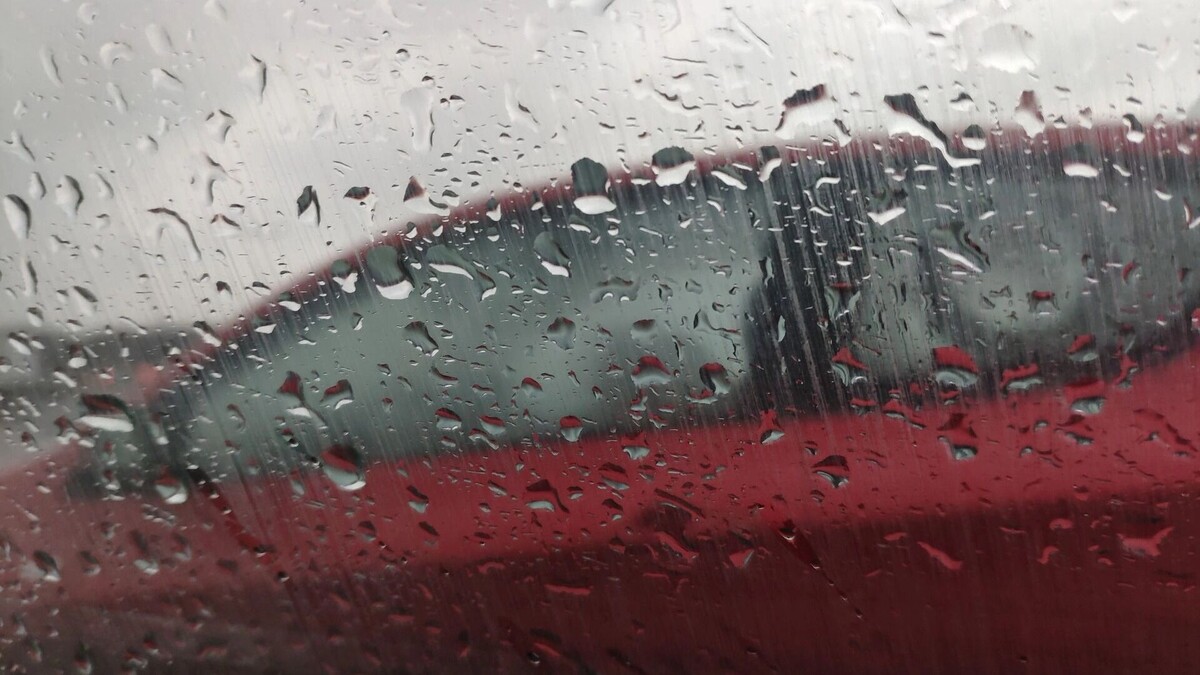     Источник: 1MI