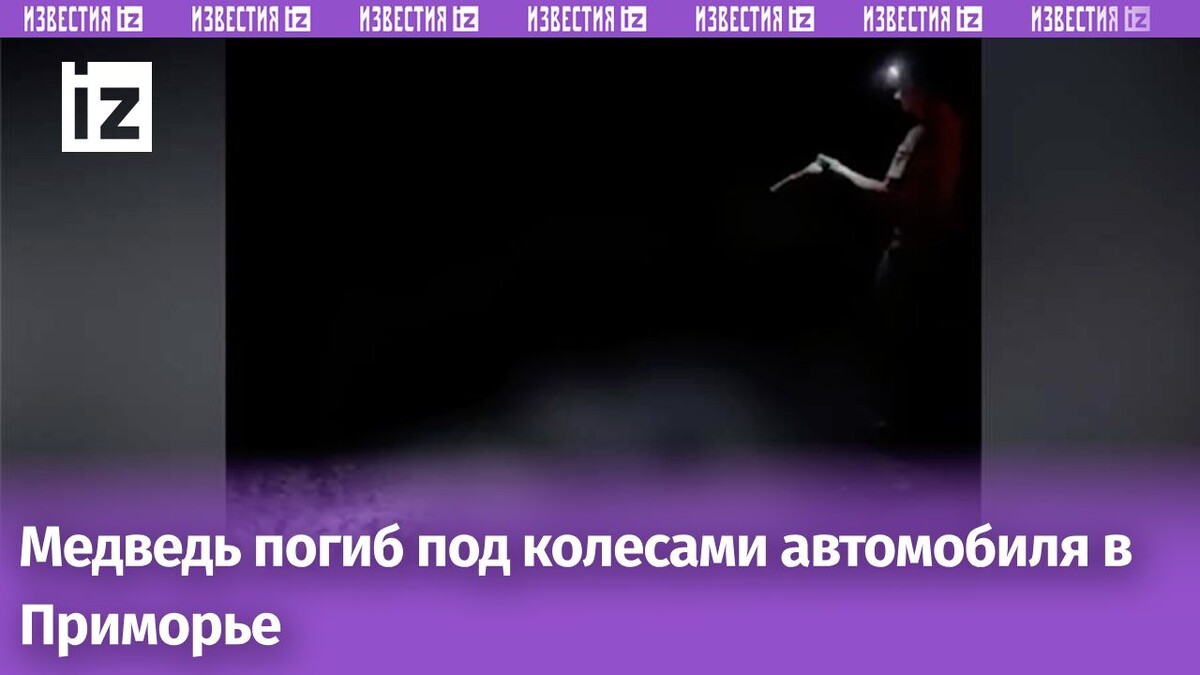 Фото: ИЗВЕСТИЯ