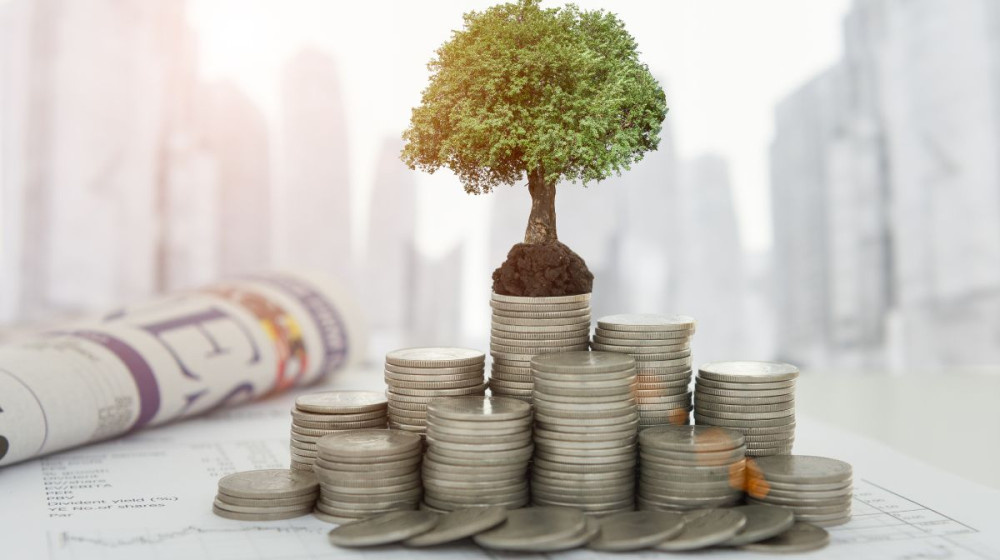    Как вернуть деньги, если ребёнок «инвестировал» в крипту