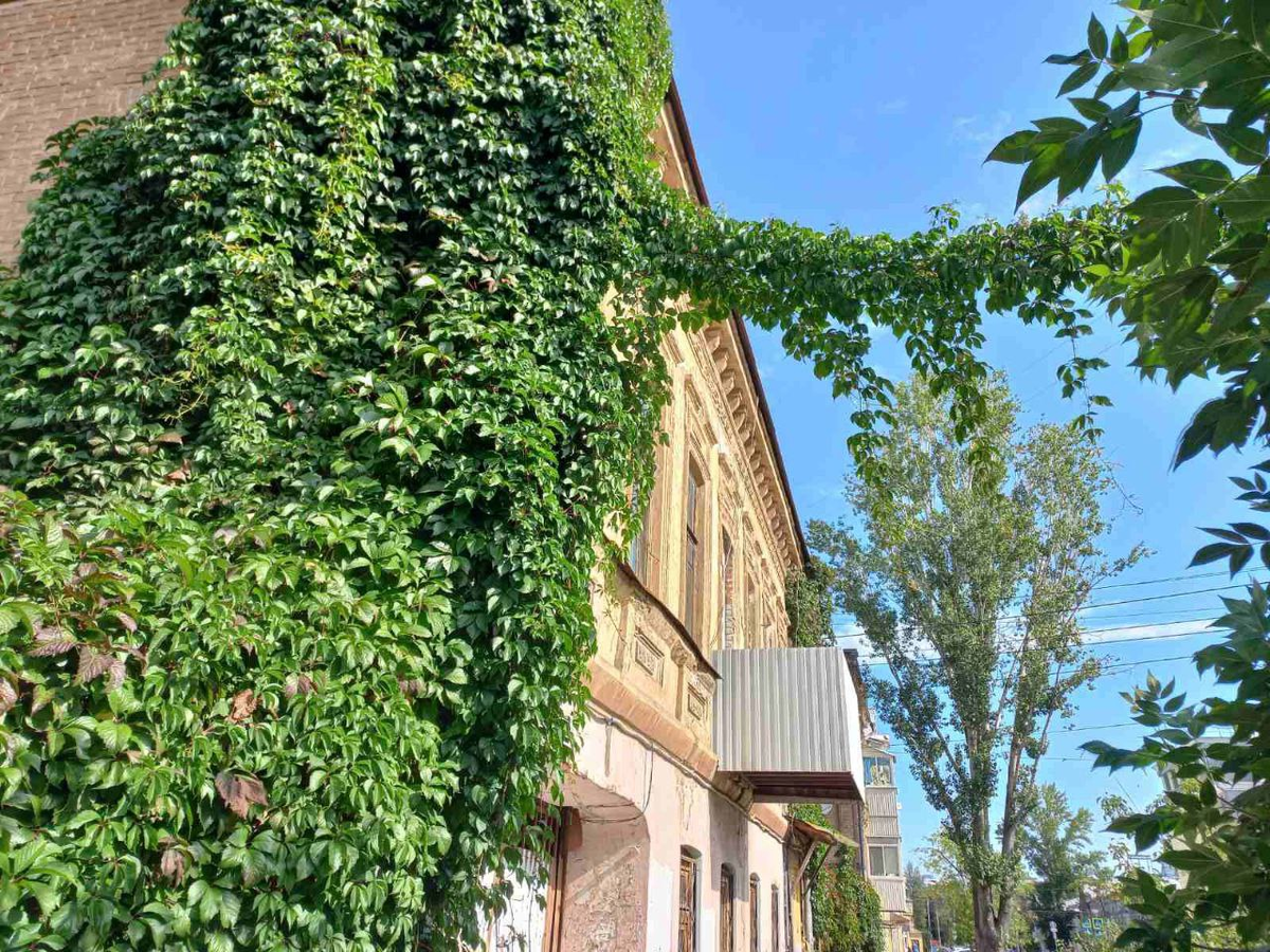 Фото автора.