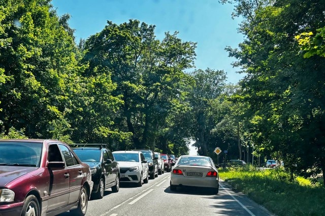   Фото: Калининград.Ru