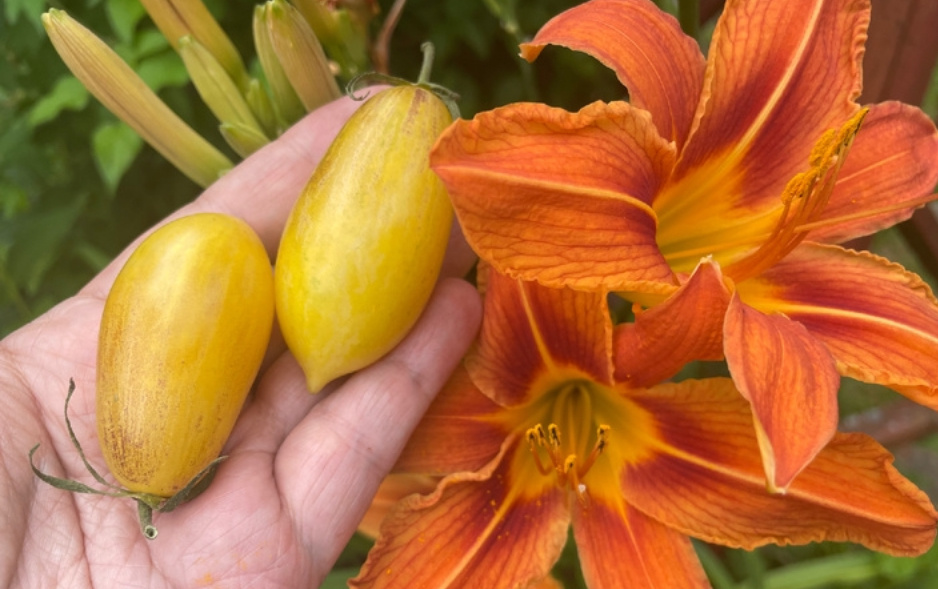 Бананово -Лимонный Сингапур 20.07.2025 