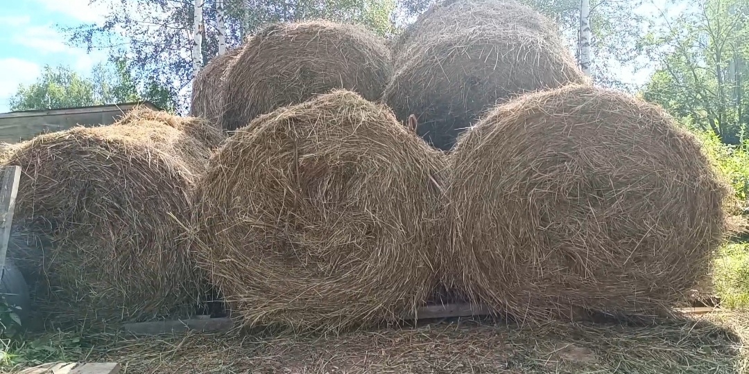 Видео никак не загружается....хоть напишу как у нас дела)))