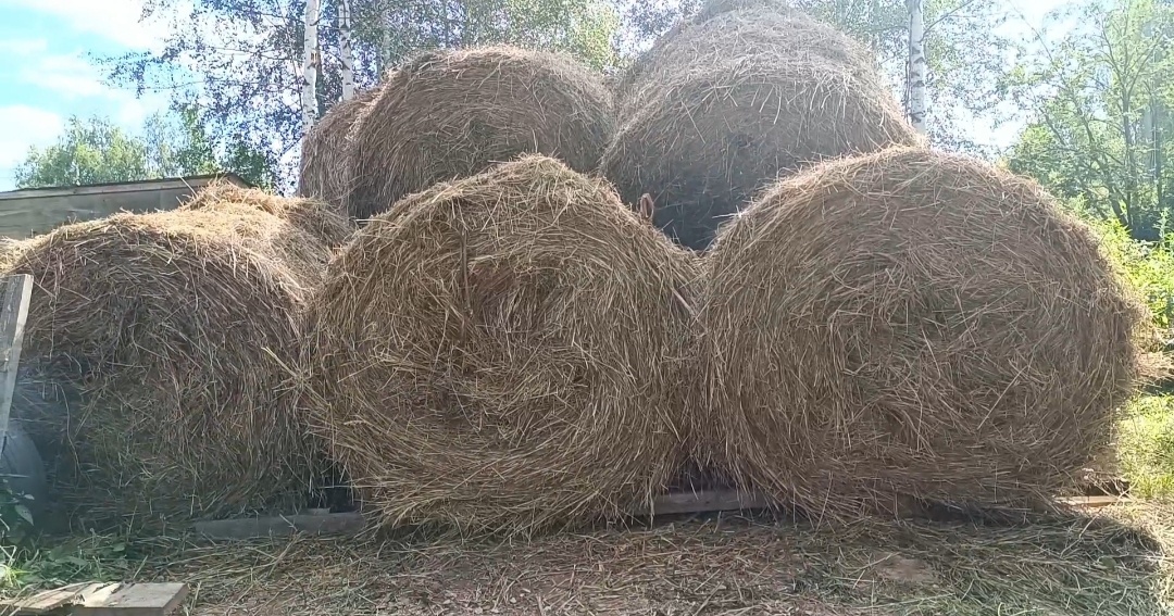 Вот такие классные рулоны нам привезли)))