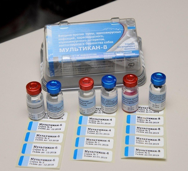 Фото взято https://dzen.ru/a/ZsTOySQAWntXqrUY