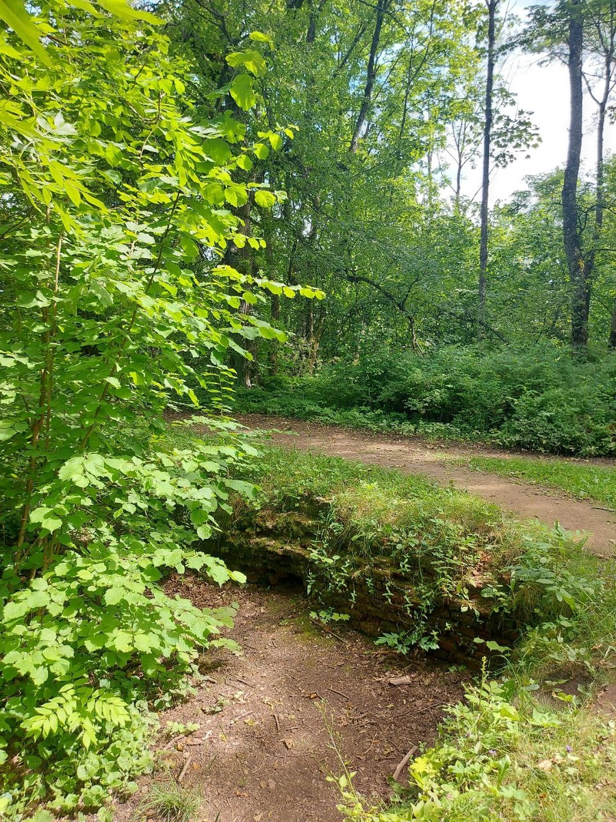 То, что от него осталось: кусочек фундамента строения