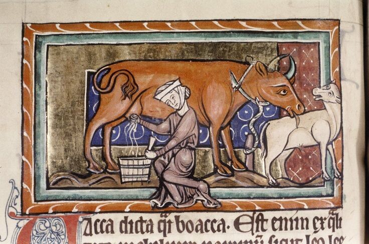 Точ-в-точ такая же корова.