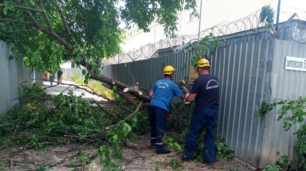 Фото: Пресс-служба администрации Краснодара