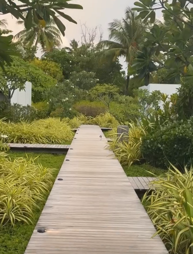 Источник - личная страница Мелисы Сабанджи Тапан в социальной сети Инстаграм - деятельность организации Meta Platforms Inc, ее продуктов Instagram и Facebook запрещена в РФ