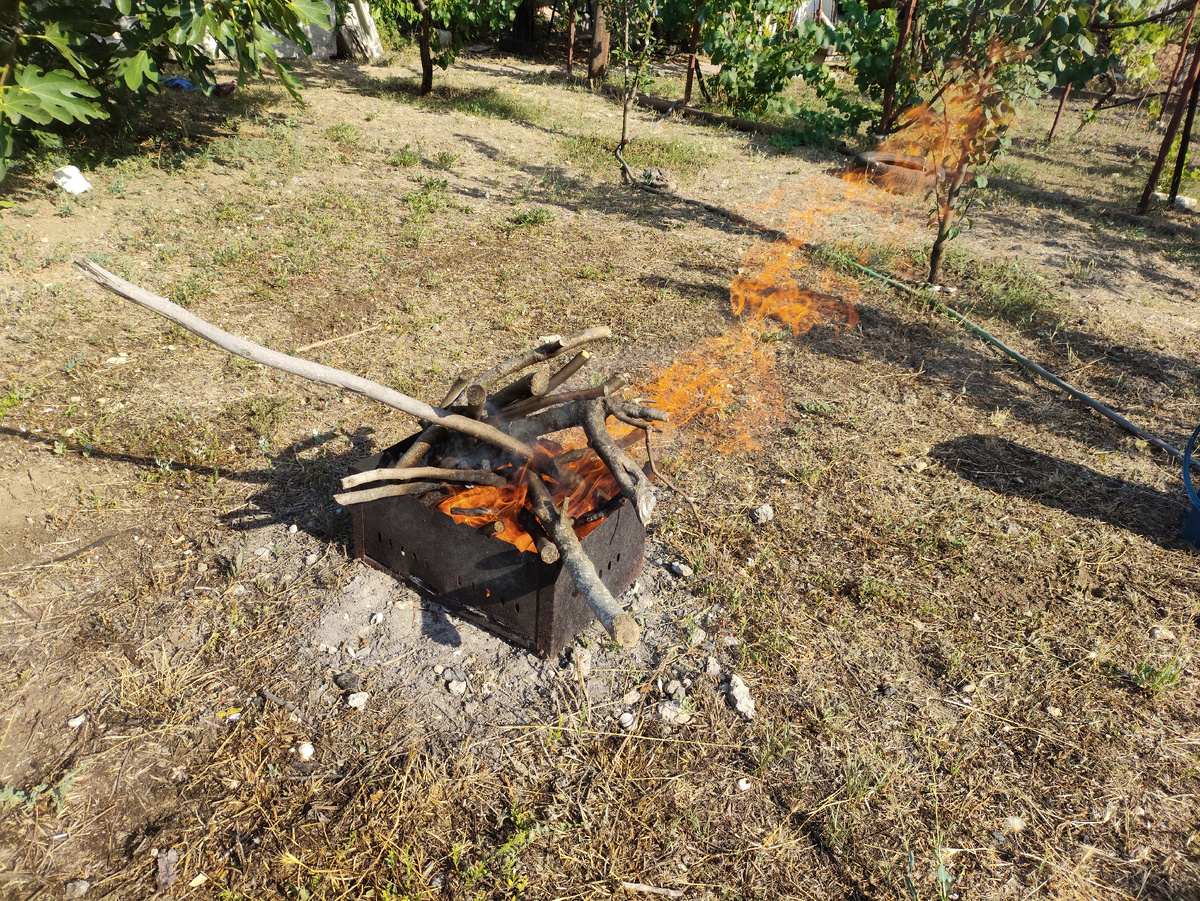 Инжир хорошо горит, а главное - быстро.