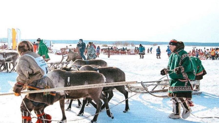    Фото: t.me/trknadym89/38937?single