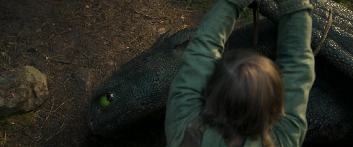 Кадр из фильма «Как приручить дракона»