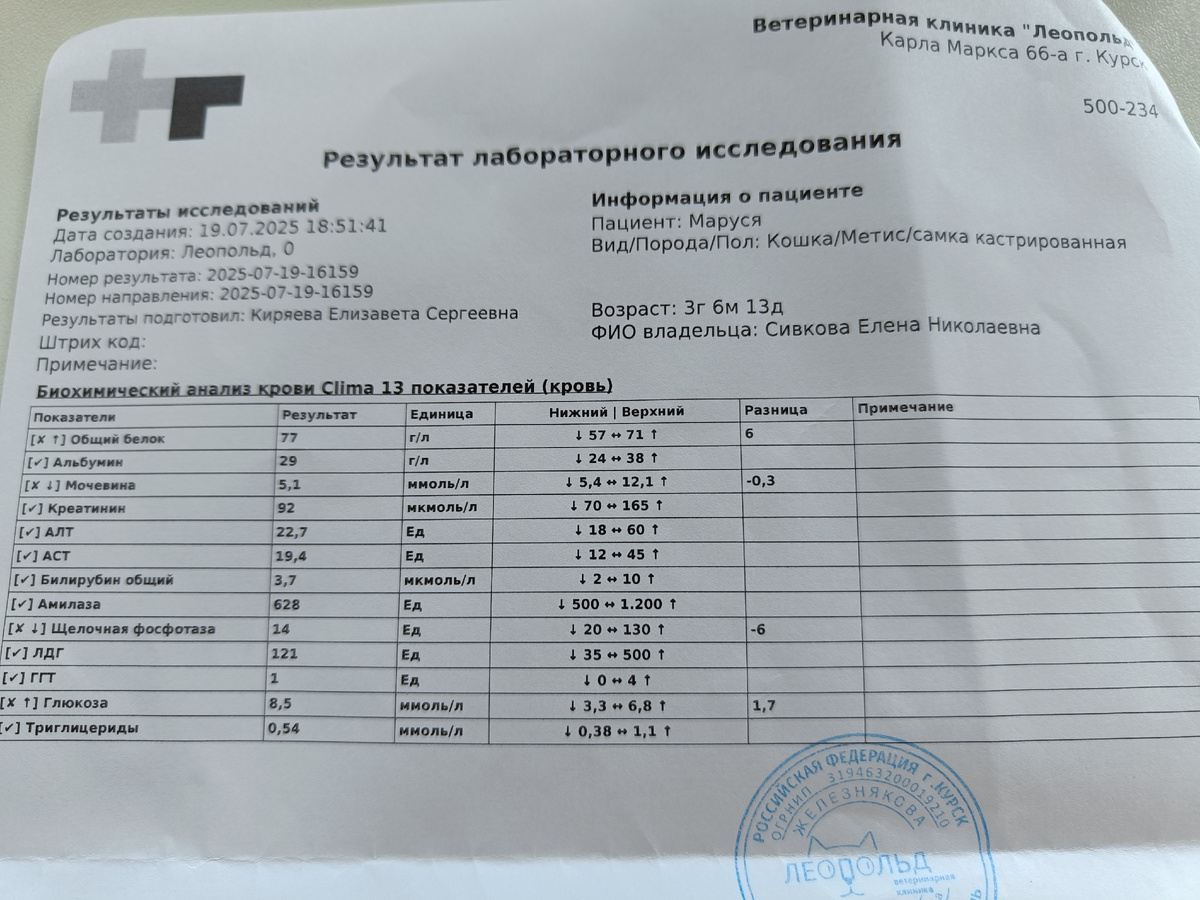 Биохимический анализ крови