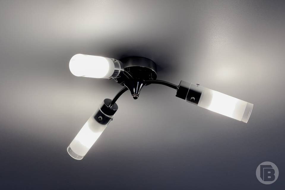    Фото: Дмитрий Рогулин / "Городские вести"