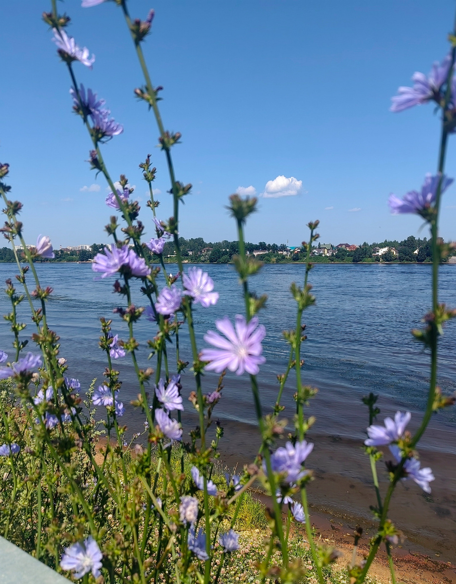 Женщины и дети - это цветы. Чем больше им уделяешь внимания, тем красивее они расцветают. На фото фокус внимания сосредоточен на правый берег Невы