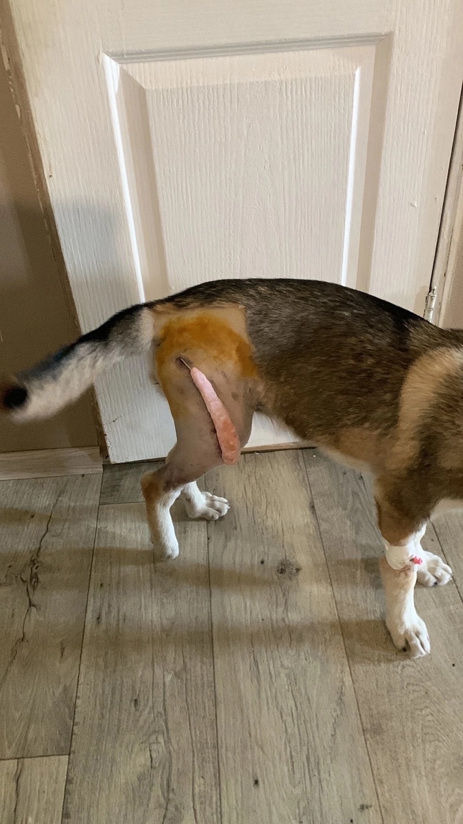 -2-3