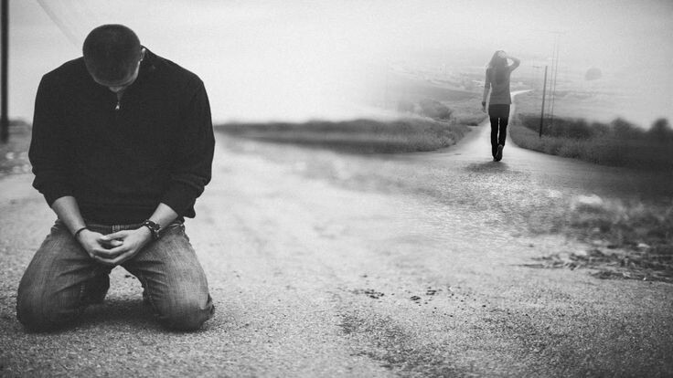 Фото из свободных источников. 