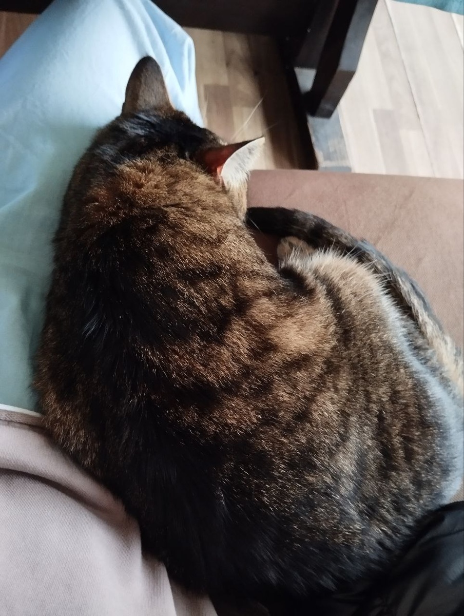 Это было вот так