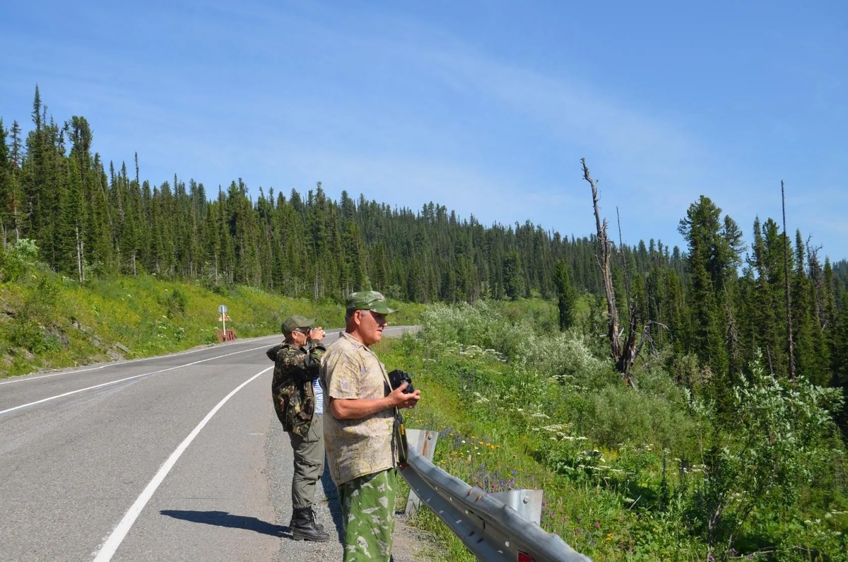 Федеральная трасса "Енисей. Саяны. Ергаки