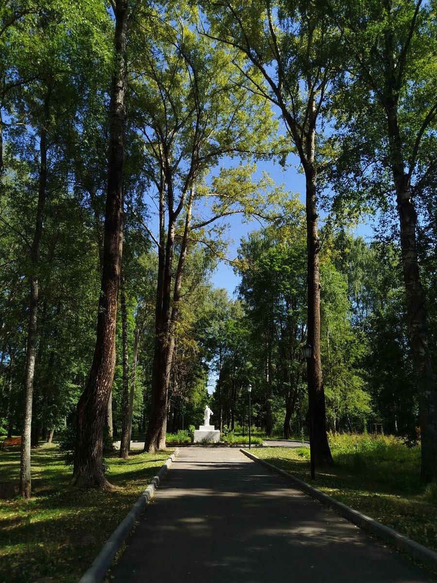 парк бывшего санатория "Костромской"