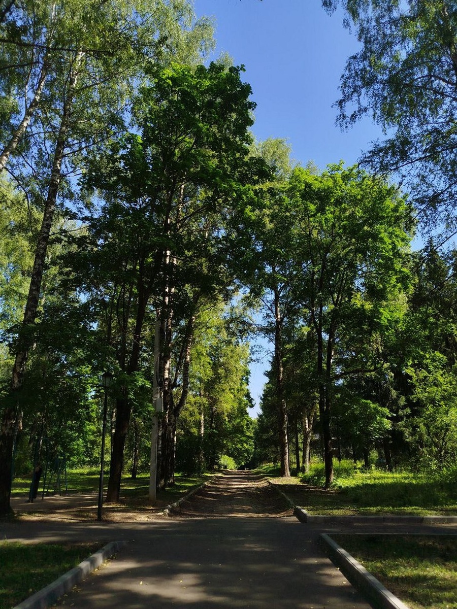 парк бывшего санатория "Костромской"