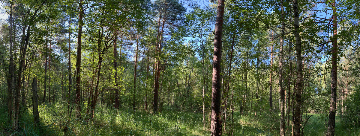 панорама, смотреть желательно с ПК и в полной развертке, так все тонкости и виды откроются в лучшем виде