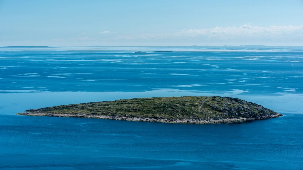    Фото: Serguei Fomine/Global Look Press