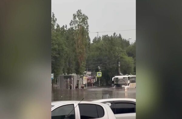 Обложка © Telegram / Типичный Воронеж