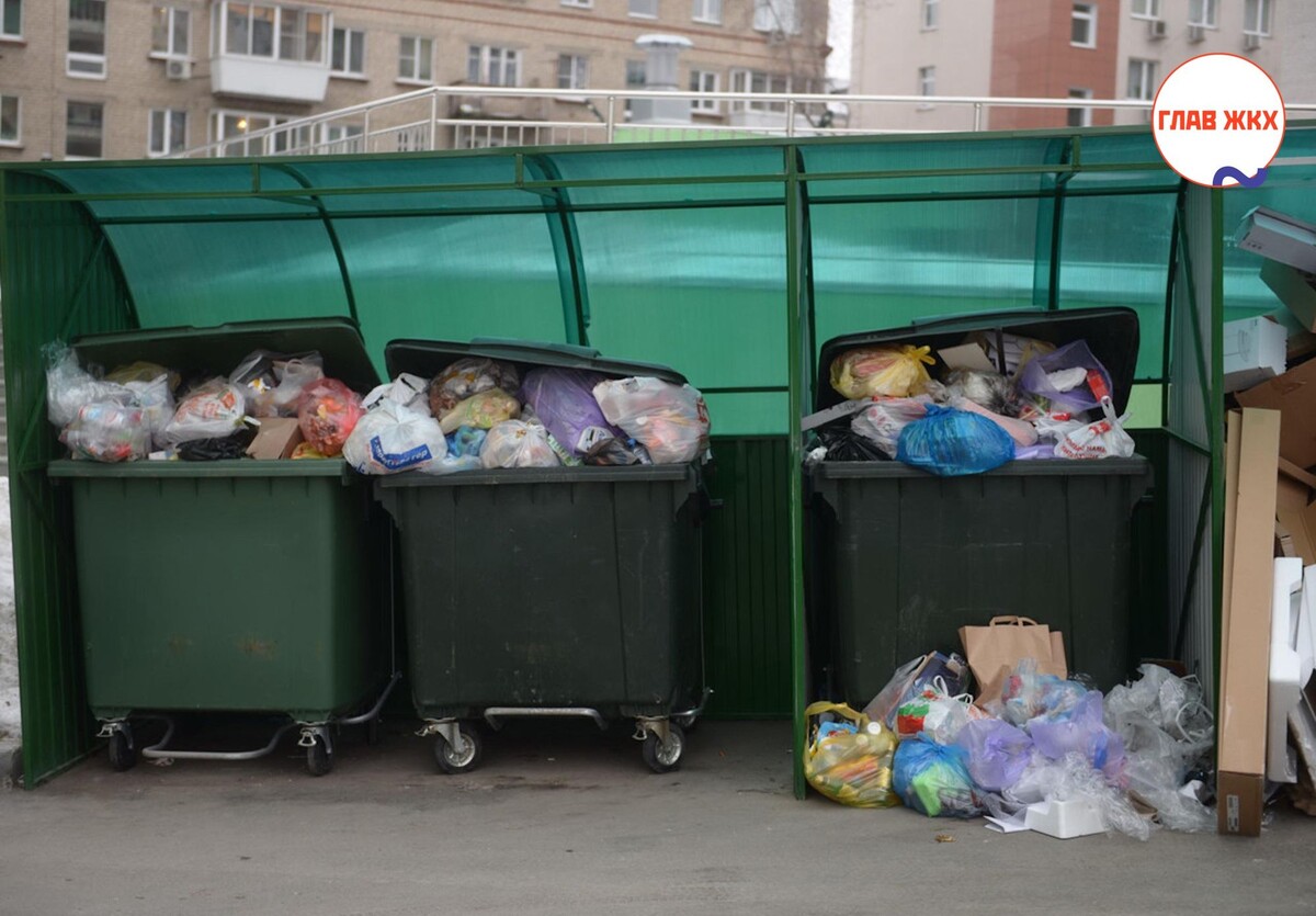 Саратовский регоператор выявил основные причины переполнения контейнерных площадок
