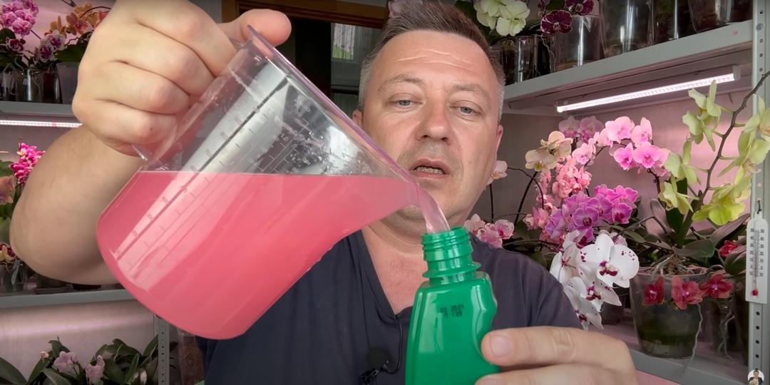 Эффективная баковая смесь для орхидей: избавляемся от паразитов, болезней и стресса одним махом