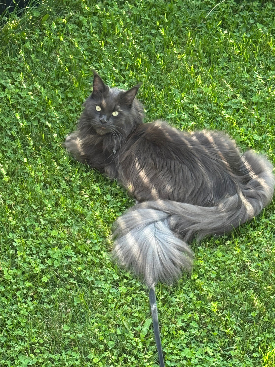 Просто напомню, какая чудесная