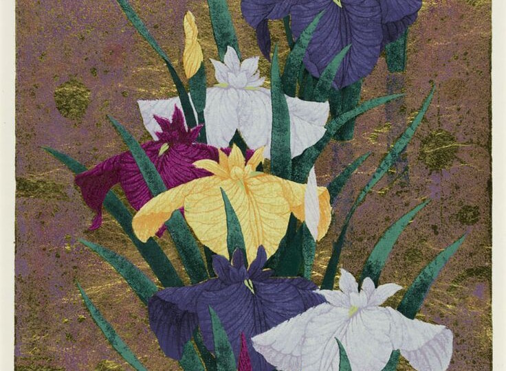 Сугиура Казутоси. Песнь ирисов.