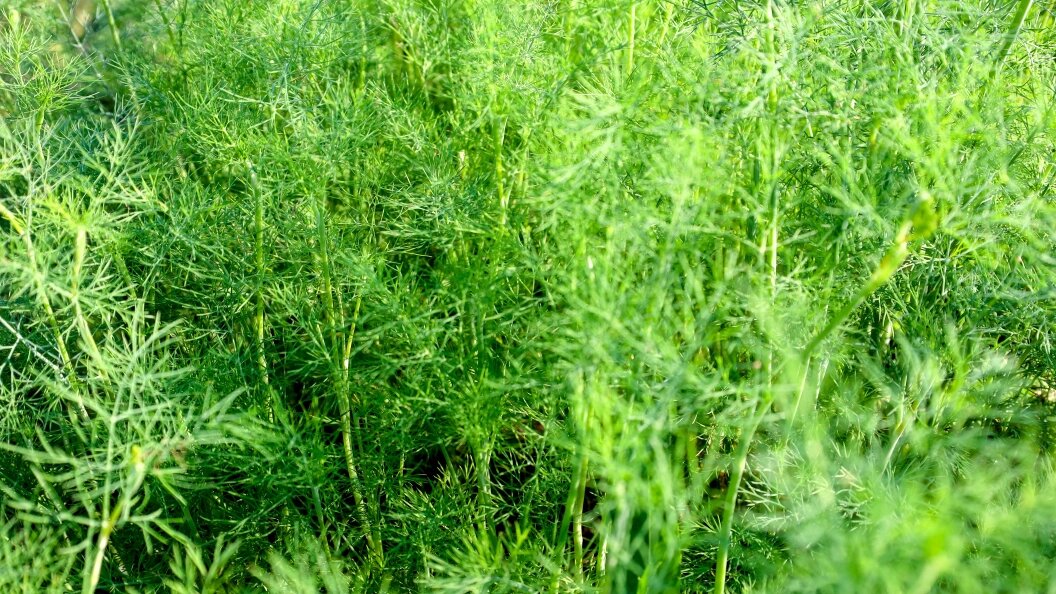    Елена Майорова/Global Look Press