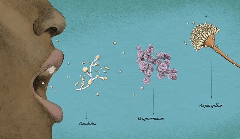 Мы вдыхаем споры грибов с каждым вдохом (Фото: Эммануэль Лафон)