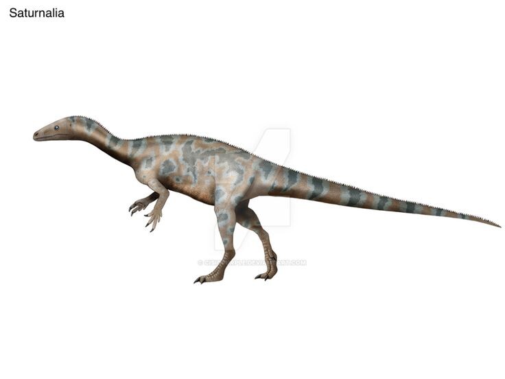 Сатурналия. Реконструкция.