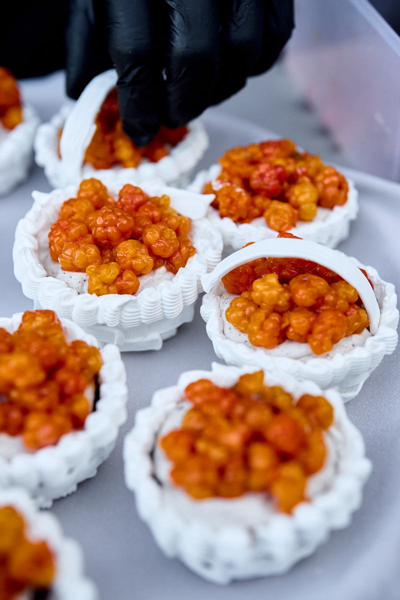 Ягода морошка