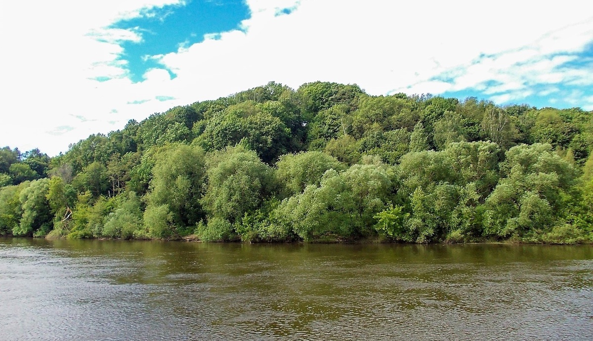 Так сегодня выглядит древнее городище, оставшееся от Перевитска. Фото из интернета