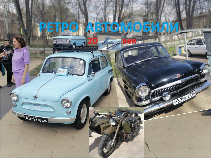 Фото - Олег Душин (блог Друг Истории). 19.04.2025  Олень - ист. Википедия