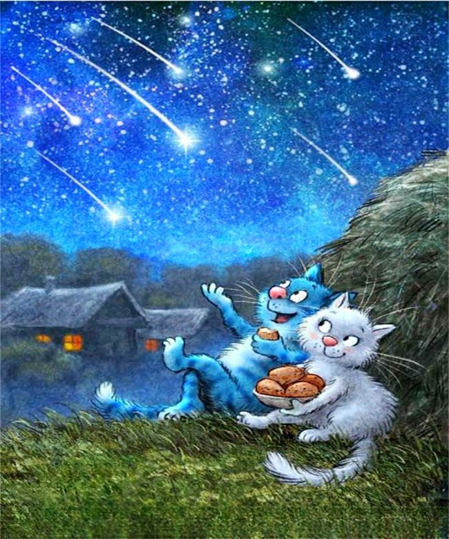 очаровательные коты Рины Зенюк