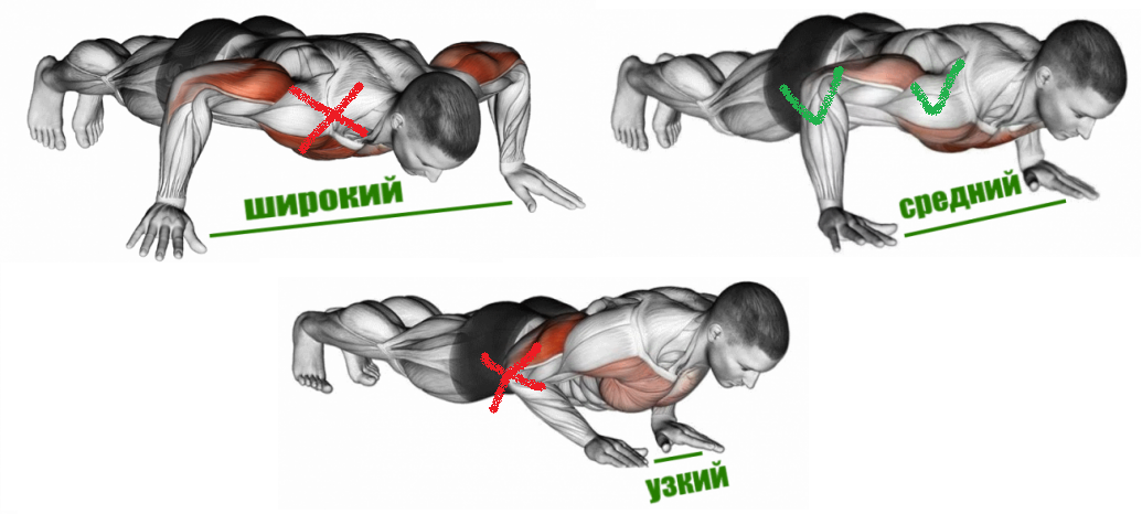 Различная ширина постоновки рук в отжиманиях от пола