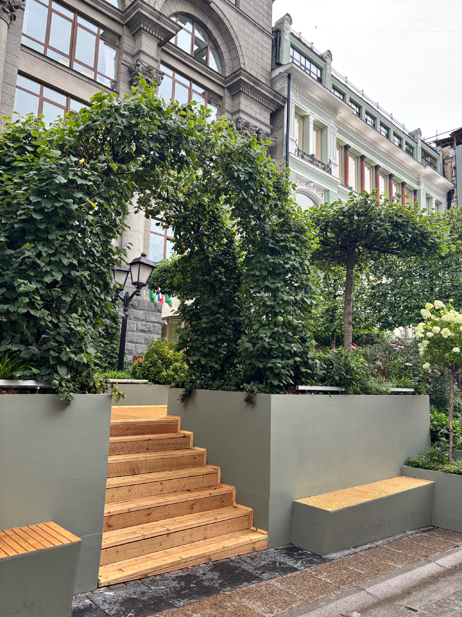 Вот такие подиумы с деревьями и растениями стоят по всей улице