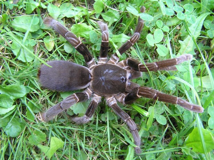 Фото из интернета 